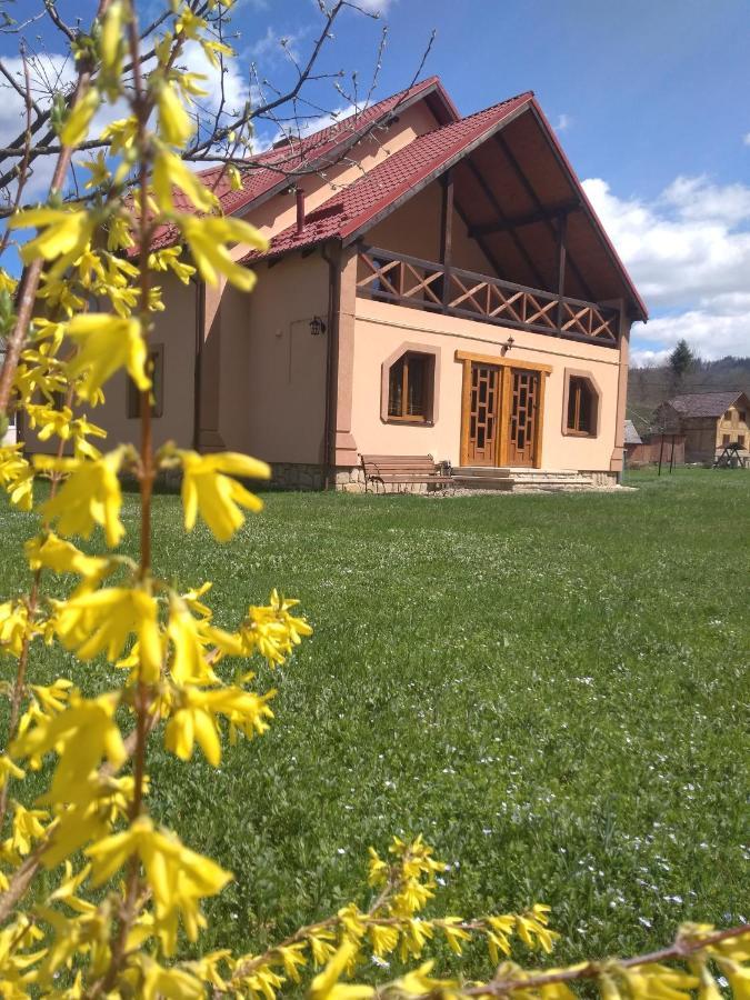 Затишок В Карпатах Villa Yaremche Luaran gambar